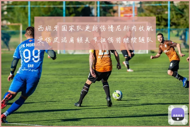 西班牙国家队更新伤情尼科内收肌受伤皮诺肩锁关节扭伤将继续随队训练