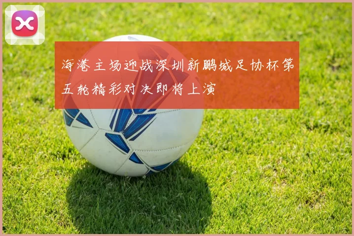 海港主场迎战深圳新鹏城足协杯第五轮精彩对决即将上演